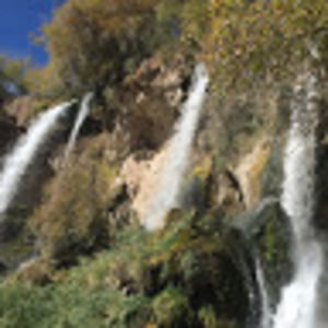 Meet your Posher, Gaylene